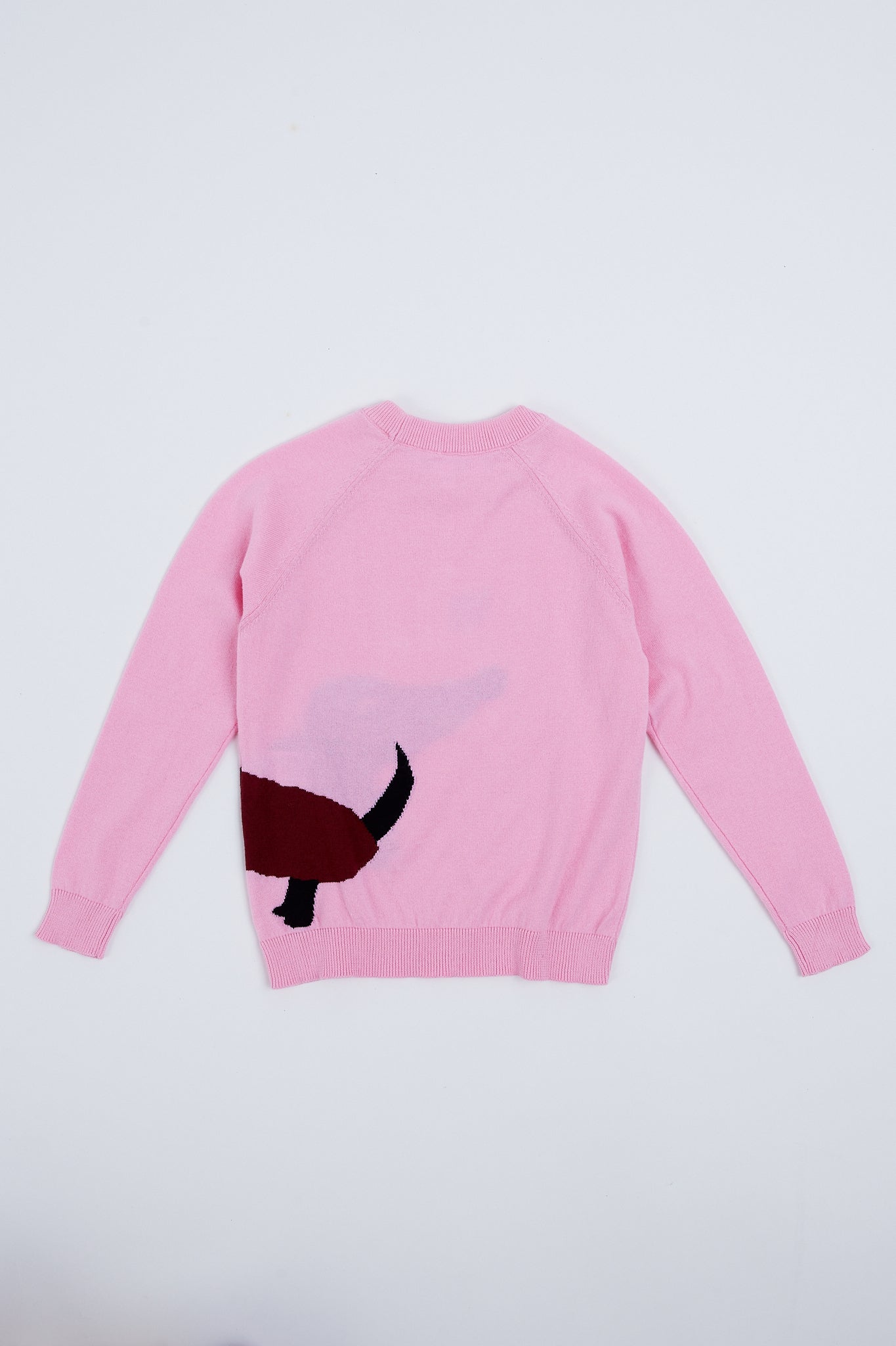 Pulover pentru copii cu ilustratie catel